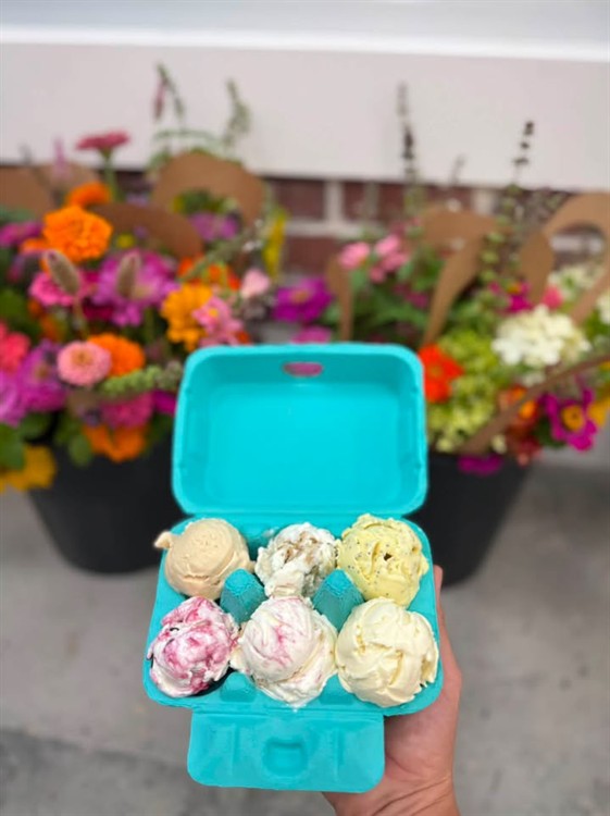 ice cream flights