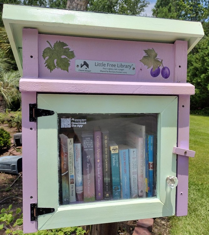 Gallery Image Little_Library.jpg