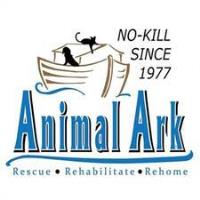 Animal Ark New Volunteer Orientation