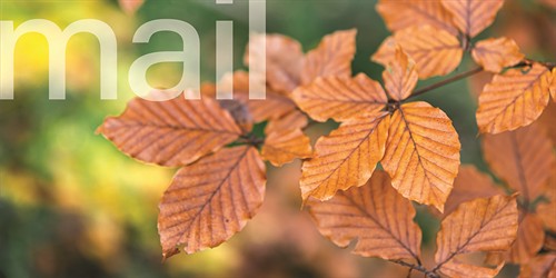 Gallery Image mail.jpg