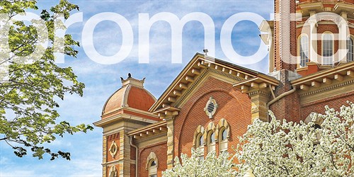 Gallery Image promote.jpg