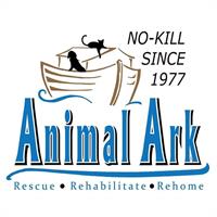 Animal Ark adoption event at Petsmart in Lakeville, MN