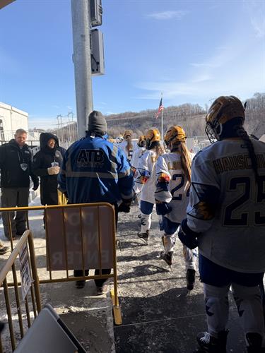 Gallery Image HDMN_Herb.jpeg