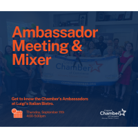 Ambassador Meeting & Mixer