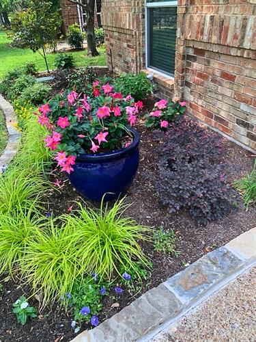 seasonal plants and pots with drip irrigation