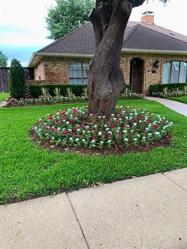 decoration with seasonal flowers