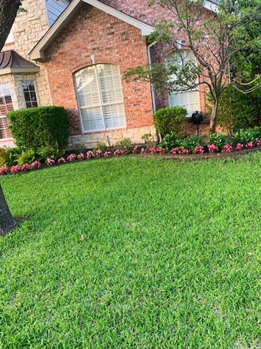 Lawn service and season flowers