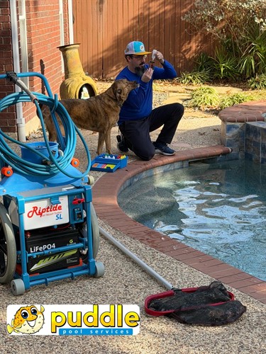 Gallery Image 31789BA6-8DDD-4C81-B152-117F83B9FF1A.jpeg