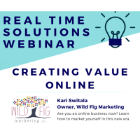 Real Time Solutions Webinar Series: Creating Value Online