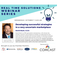 Real Time Solutions Webinar Series: Developing Successful Strategies In A Very Uncertain Marketplace