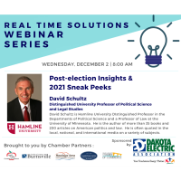 Real Time Solutions Webinar Series: Post-Election Insights & 2021 Sneak Peaks