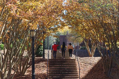 Fall on campus