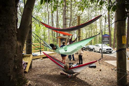 Students with hammocks