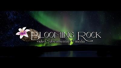 Blooming Rock Video