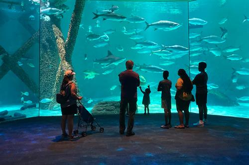 Gulf Exhibit