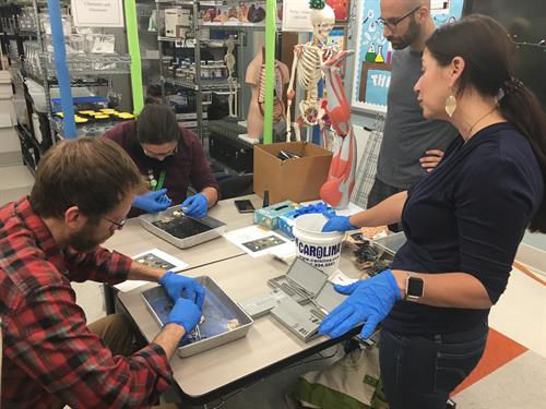 Dissection Office Hours with Exports: One of the Teacher Supports Offered by STEM Library Lab where local experts come and host interactive sessions that teach a new skill or topic to STEM teachers