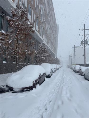 Gallery Image LSU_Snow_Day_2025.jpg