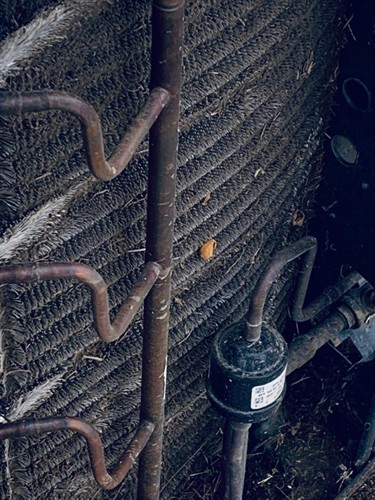 Gallery Image 8684876e-3b05-4d26-bed5-d142a2ced7cc.JPG