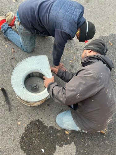 Gallery Image a0687e96-3503-44ea-9de7-10f9b31c3928.JPG