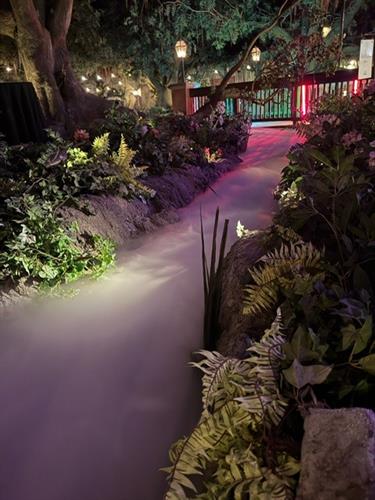 Low Lying Fog Low Lying Fog