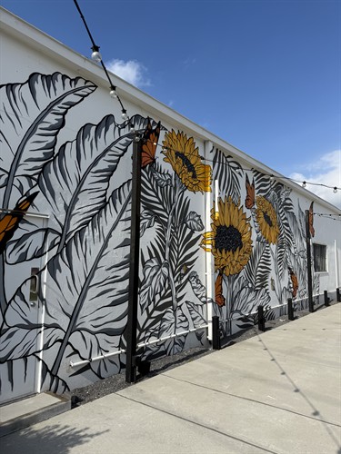 Gallery Image IMG_8650.jpg