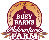 Barnyard Adventures - Lambing & Kidding Days