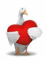 American Family Life Assurance Company (Aflac) American Family Life Assurance Company (Aflac)
