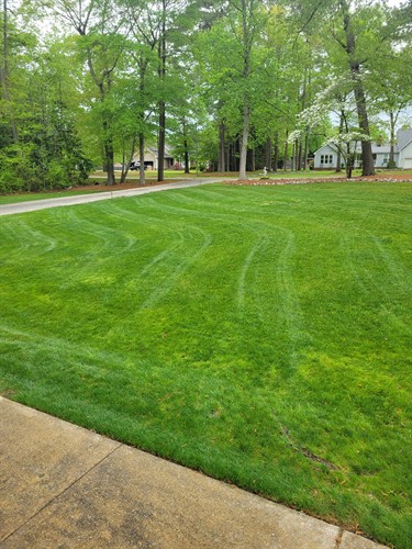 Gallery Image 20250411_122730.jpg