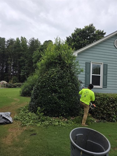 Gallery Image 20250802_110407.jpg