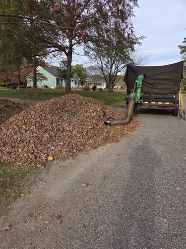 Gallery Image 20251118_151208.jpg