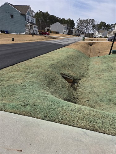 Gallery Image 20260108_122917.jpg