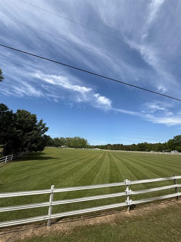 Gallery Image IMG-20250427-WA0005.jpg