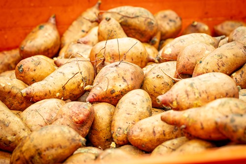 Ham & Yam