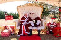 Flowers Plantation Annual Tree Lighting