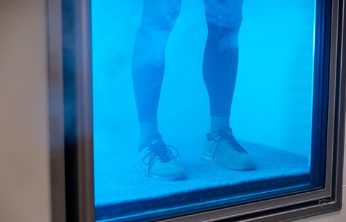 whole-body cryotherapy