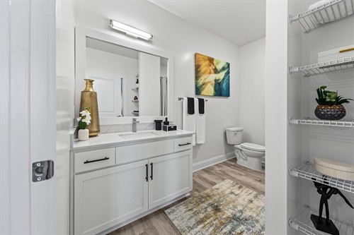 Gallery Image modelunitbathroom1.jpg