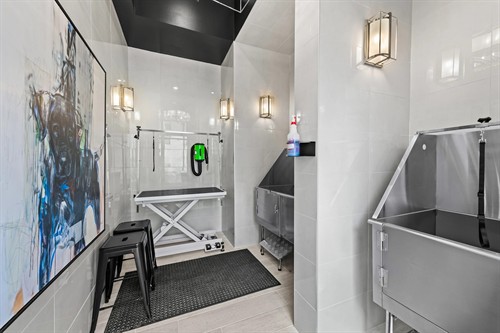 Gallery Image petspa(1).jpg
