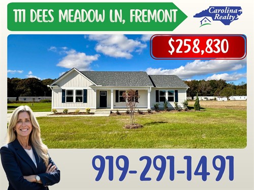 111 Dees Meadow Ln, Fremont