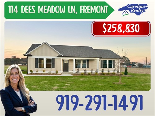 114 Dees Meadow Ln, Fremont