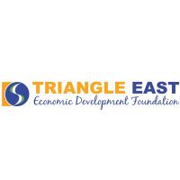 Triangle East Economic Development Foundation Receives Duke Energy Grant to Support Downtown Princeton Businesses