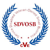 Service Disable Veteran Owned Small Business