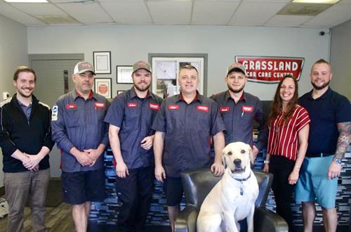 Meet our Team!