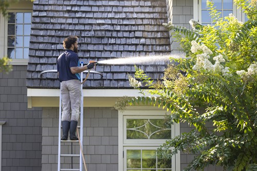 Gallery Image 20250821_clearview_landscape_property_services_1618.jpg