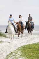 The Stables at Frederica - St. Simons Island