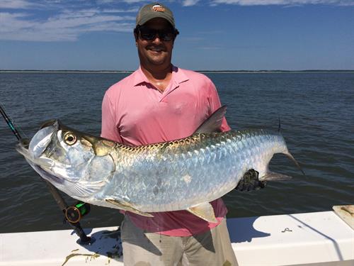 Tarpon