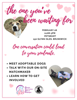 Grateful Cats/Canines Allies & Supporters (GCAS) - Brunswick