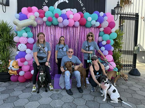 Fur-K Wag, Walk & Run 2025