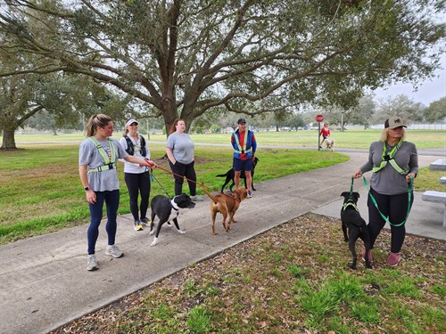 Running Buddies group shot
