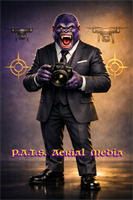 P.A.T.S. Aerial Media