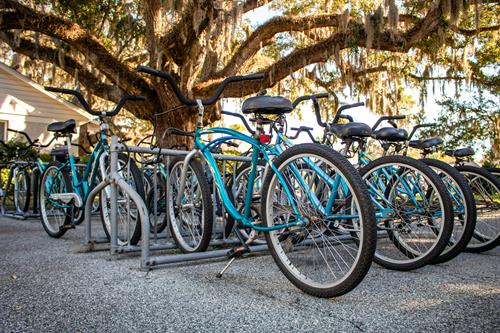 Bike Rentals Available